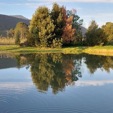 20 Good Summers Farm Stay The Crags Екстер'єр фото