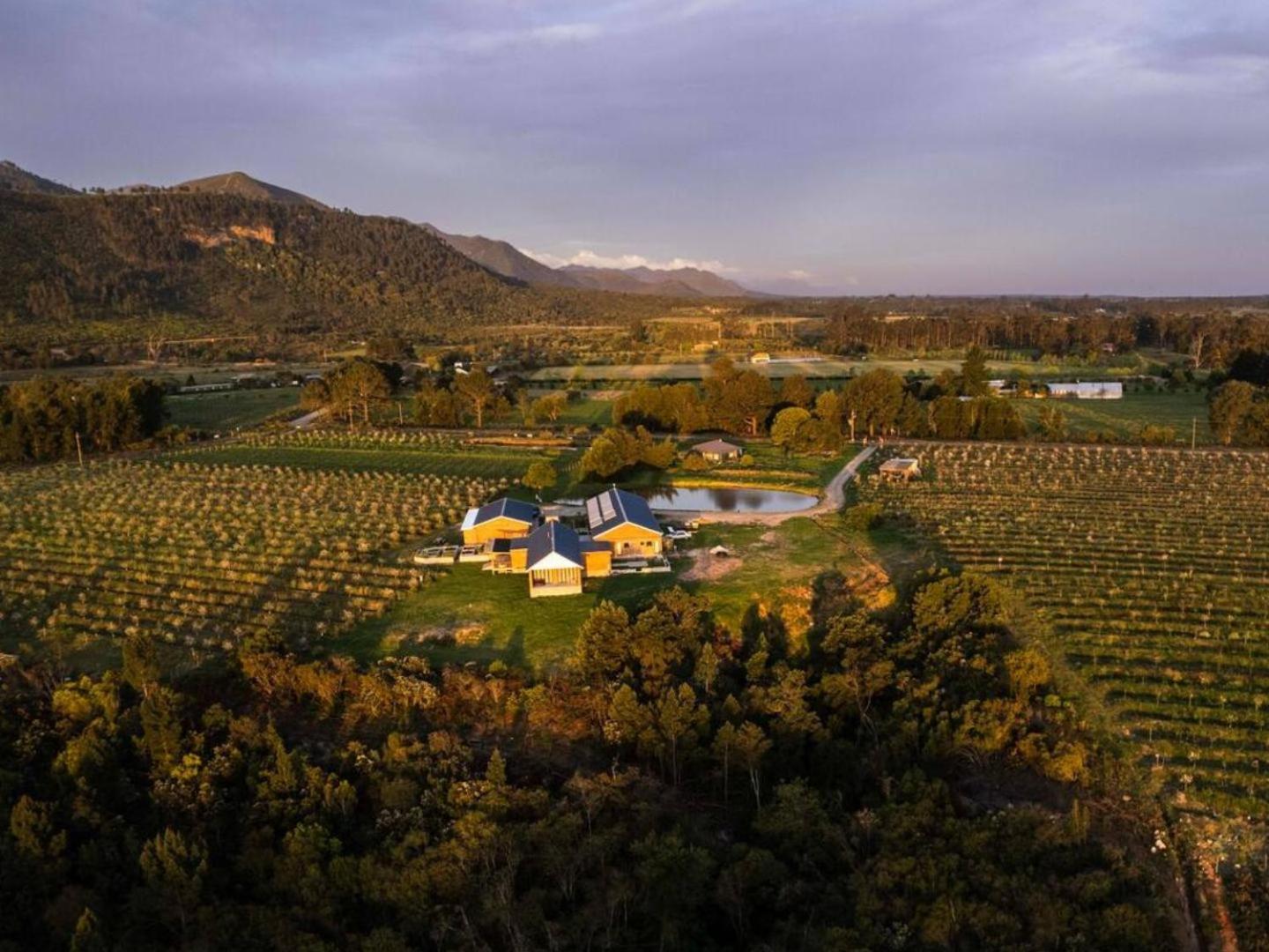 20 Good Summers Farm Stay The Crags Екстер'єр фото