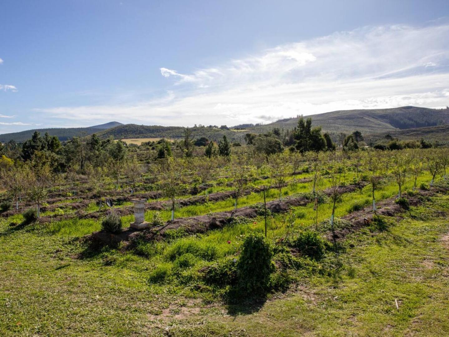 20 Good Summers Farm Stay The Crags Екстер'єр фото