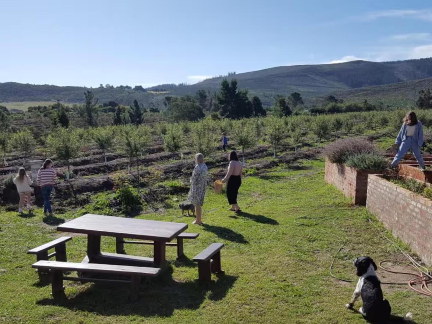 20 Good Summers Farm Stay The Crags Екстер'єр фото