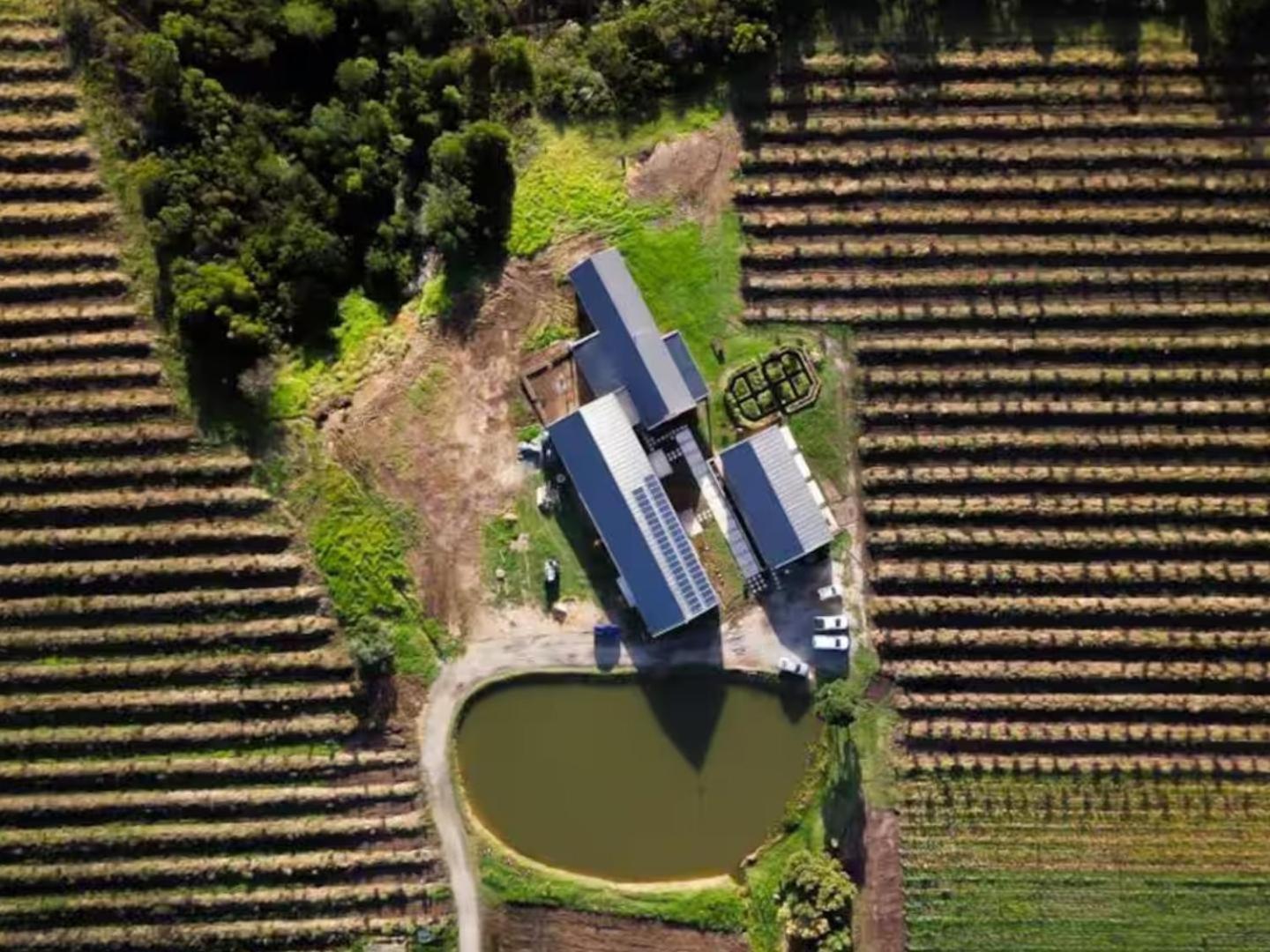 20 Good Summers Farm Stay The Crags Екстер'єр фото