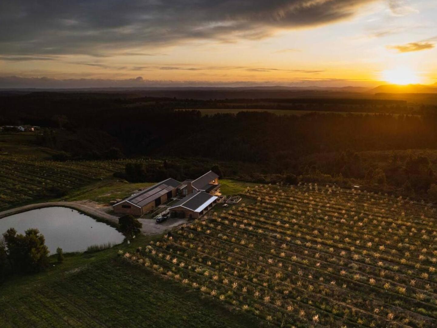 20 Good Summers Farm Stay The Crags Екстер'єр фото
